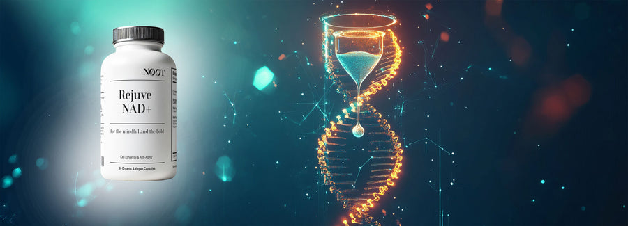 NAD+ and Cellular Energy: Biohack and Unlocking Longevity with RejuveNAD+