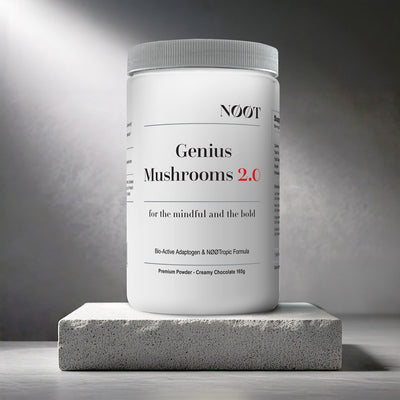 Geniush Mushrooms 2.0 bottle on stone - Lion's Mane, Reishi, Chaga, Cordyceps - Cocoa Drink