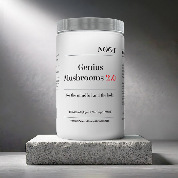 Geniush Mushrooms 2.0 bottle on stone - Lion's Mane, Reishi, Chaga, Cordyceps - Cocoa Drink
