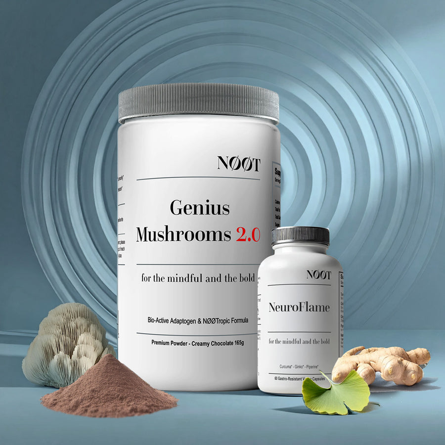 brain fog memory bundle genius mushrooms neuro flame ginkgo biloba curcumin