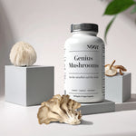 Genius Mushrooms bottle - a nootropic complex for cognition immunity and antioxidant
